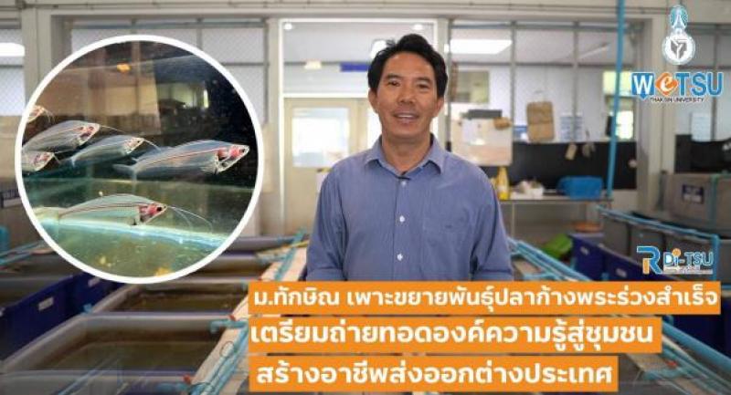 นวัตกรรมหม้อไอน้ำประสิทธิภาพสูง สำหรับนึ่งก้อนเชื้อเห็ด คณะวิศวกรรมศาสตร์ มหาวิทยาลัยทักษิณ