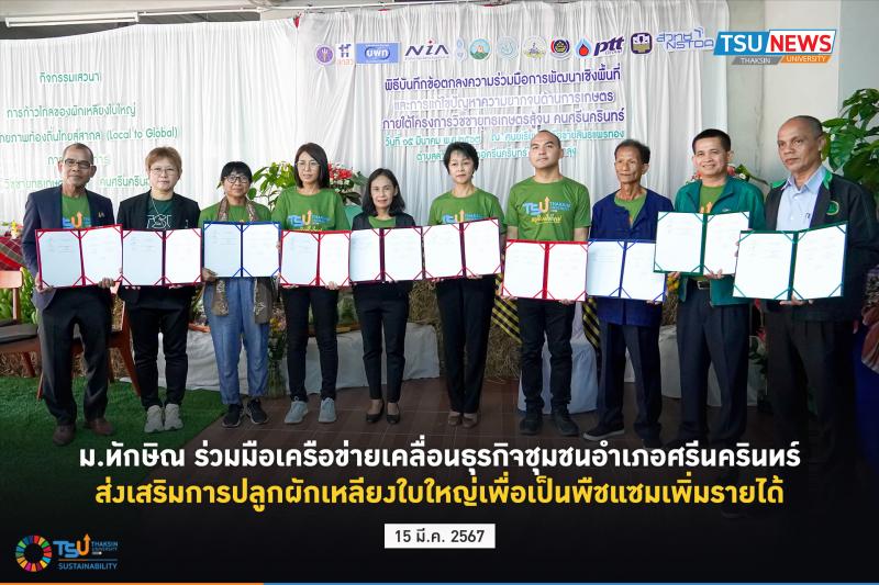 ม.ทักษิณ ร่วมมือเครือข่ายเคลื่อนธุรกิจชุมชนอำเภอศรีนครินทร์ ส่งเสริมการปลูกผักเหลียงใบใหญ่เพื่อเป็นพืชแซมเพิ่มรายได้