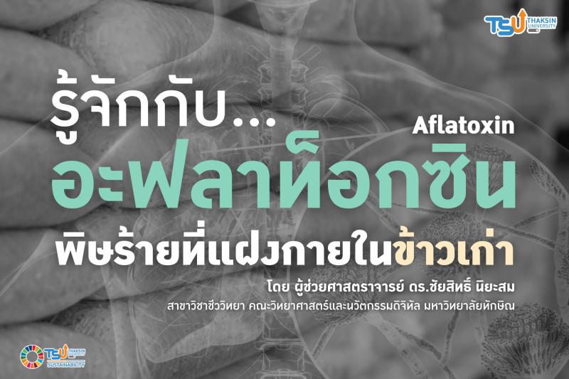 ทำความรู้จักกับ อะฟลาท็อกซิน (Aflatoxin) พิษร้ายที่แฝงกายในข้าวเก่า...