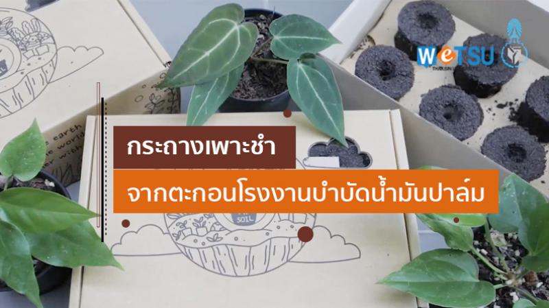 &quot;My Soil&quot;กระถางเพาะชำจากตะกอนโรงงานบำบัดน้ำมันปาล์ม ผลงานนิสิต ม.ทักษิณ แก้ปัญหาน้ำเสียให้ชุมชน