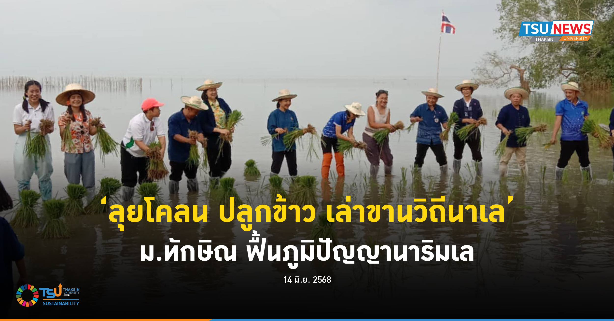 ลุยโคลน ปลูกข้าว เล่าขานวิถีนาเล ม.ทักษิณ ฟื้นภูมิปัญญานาริมเล