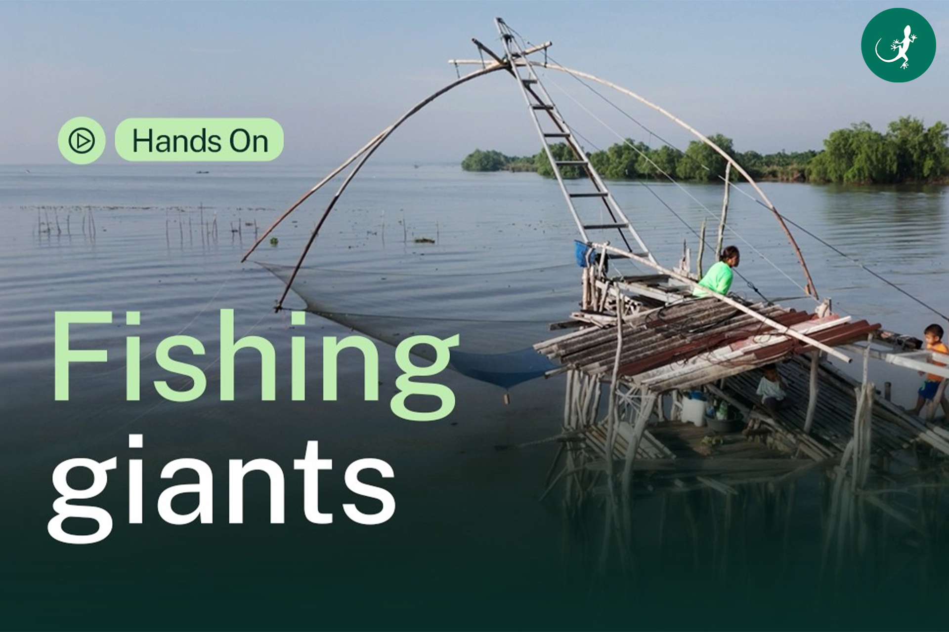What is happening to Thailand s famous giant nets