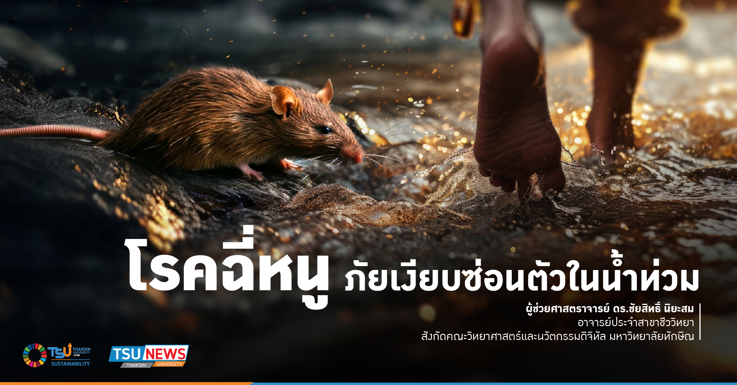 โรคฉี่หนู ภัยเงียบซ่อนตัวในน้ำท่วม