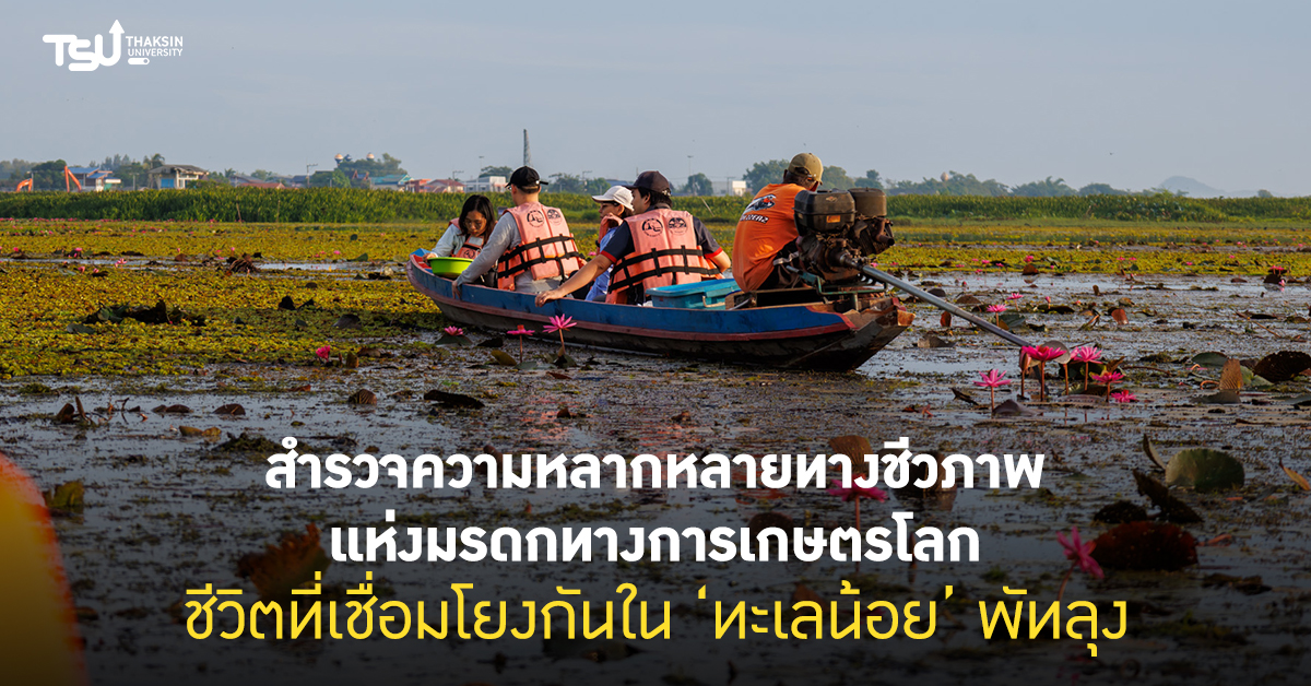 สำรวจความหลากหลายทางชีวภาพแห่งมรดกทางการเกษตรโลก ชีวิตที่เชื่อมโยงกันใน ทะเลน้อย พัทลุง